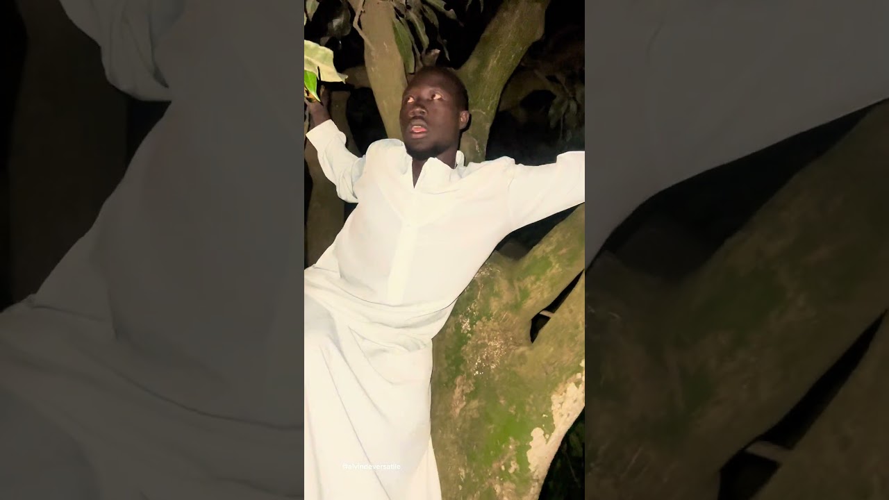 Harvesting mangoes went wrong #trending