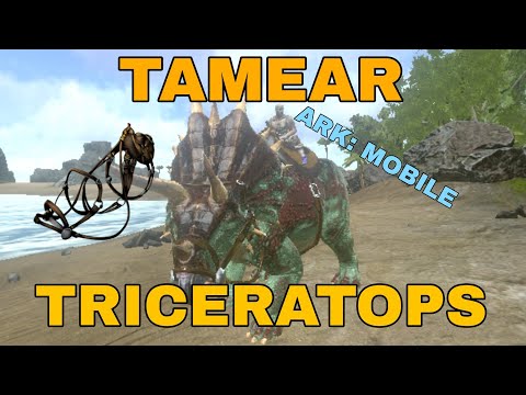 TAMEAR A UN TRICERATOPS Y COMO HACER SU MONTURA | ARK MOBILE