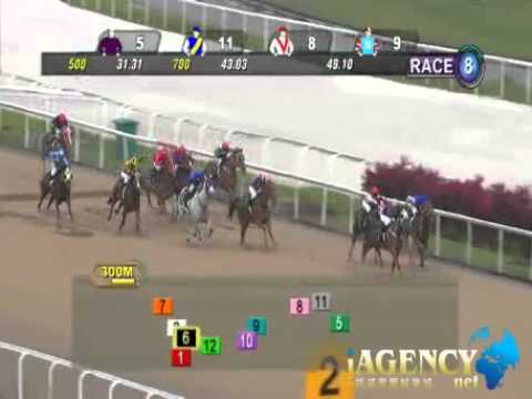 SINGAPORE RACE 19/01/2014 RACE 8 - iAgencyNet.com