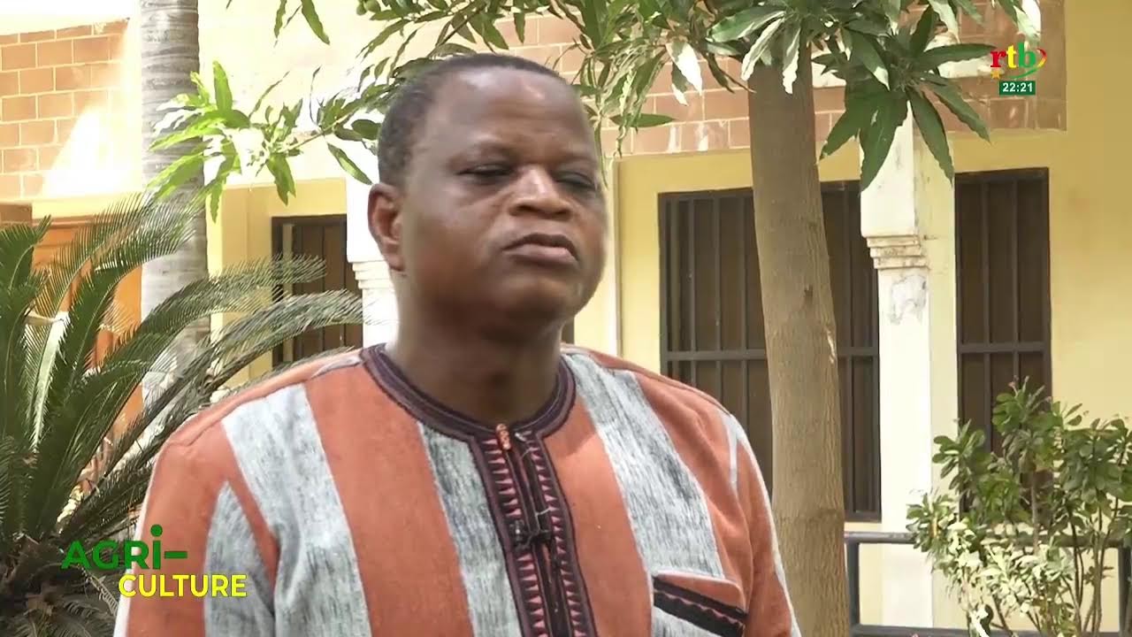 RTB - Agri-culture sur la contribution de la diaspora à la production agricole