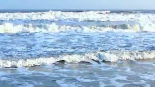 DEACON BECK  -   WAVE