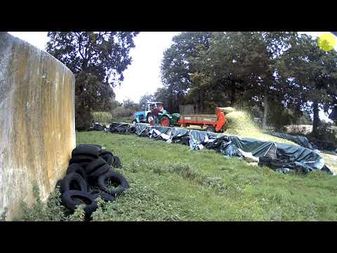 26.09.2020 Oldtimer Mais Ernte - Silo im Zeitraffer