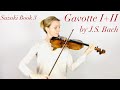 Gavotte I and II by J.S. Bach - Suzuki Book 3
