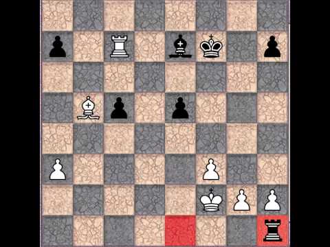 International chess (国际象棋）7th Kings Tournament White "Wang Hao" vs Black "Ponomariov,R"