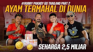 Download lagu RUBBY PAKHOY GO TO THAILAND PART 2 | HANYA DI THAILAND HARGA AYAM MILIARAN mp3