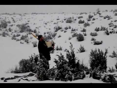 Srpske gajde- Dusan Popovic, Oro sa Pestera