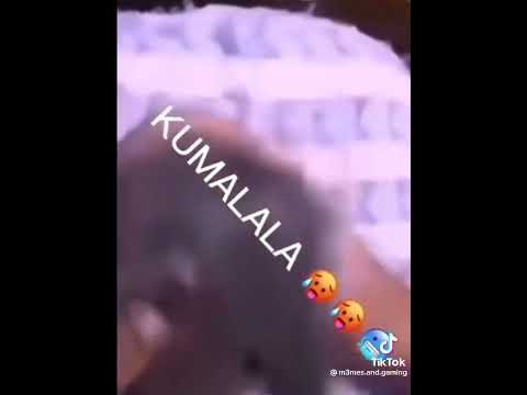 Download Kamalala mp3 free and mp4