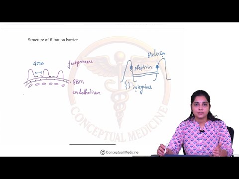 5. Nephrotic Syndromes | Internal Medicine Nephrology | USMLE Step 2 CK