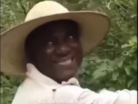 movie title: lion of Africa #funnyvideosdaily #funnyvideos