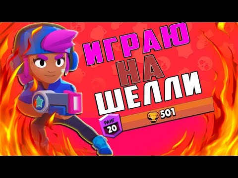 Апаем шелли