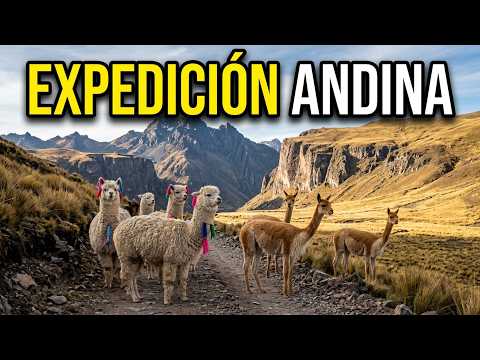 RUTA HUANCAYO A CASTROVIRREYNA, QUE ANIMALES ENCONTRAREMOS  #Huancayo #Huancavelica #Izcuchaca