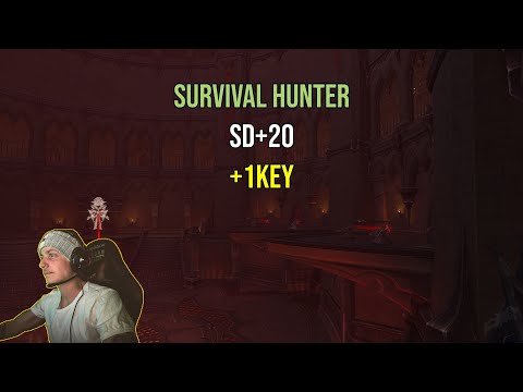 Sanguine Depths Mythic+20 +1key SURVIVAL Hunter 275Ilvl
