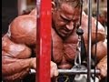 Bigger Arms - Bodybuilder Secrets For Bigger Biceps