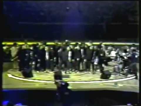 Cobra Coral ao vivo no MPB 81 [2] - Cobras e Lagartos (vídeo inédito)