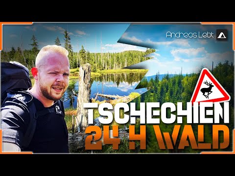 24 h TIEF IM TSCHECHISCHEN WALD 🏕 Übernachtung in der Schutzhütte | OVERNIGHT | Andreas Lebt