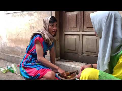 WE NEED THE DAY OF SHEEP!!!