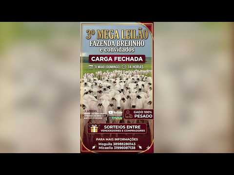 3º LEILÃO FAZENDA BREJINHO E CONVIDADOS - MORADA NOVA DE MINAS/MG - 31/05/2026