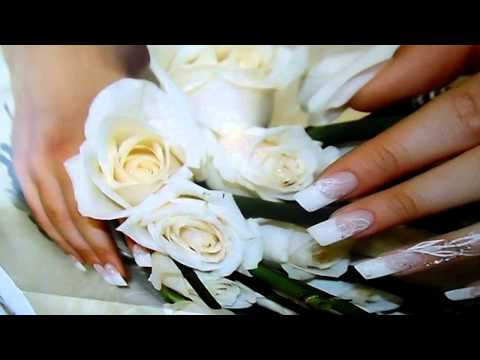 Ò Laurinda, ó Laurinda!