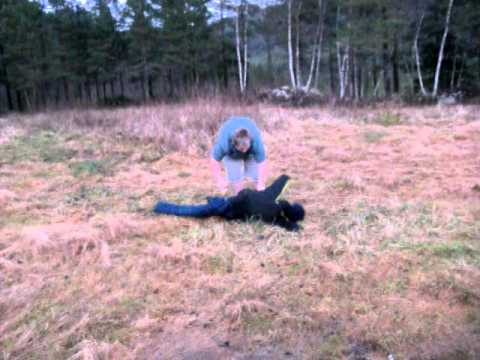 How to do Mason Ryan's sideslam