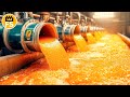 You won't believe how 93 million tons of oranges are turned into your favorite juice!