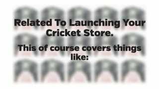 Cricket franchise cost - How much does it cost to startup a Cricket store?