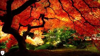 Damian Marley - Dem Neva Mek It [Reggae]