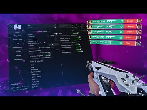 Valorant DMA in 2025 is UNBEATABLE | Valorant DMA Highlights