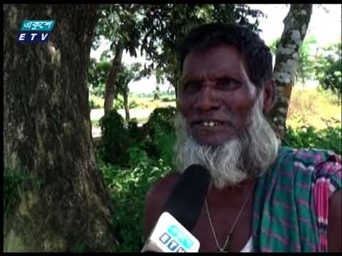 পোকামাকড় প্রজাপতি, ফড়িং, মৌমাছির সংখ্যা দিন দিন কমে যাচ্ছে