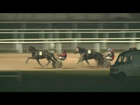 2019.11.09. 09. futam - DESPOTOVOI HENDIKEP