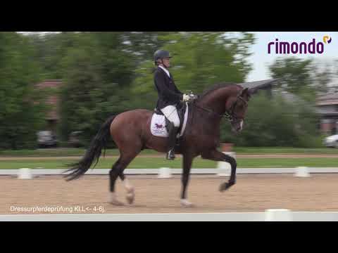 Franz Joseph Junior - 5 j H von Franziskus x Rock Forever x Ferragamo