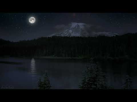 10 HRS of Nighttime Nature Soundscapes Lake Waves, Cicadas, Crickets   8K Enchanting Night