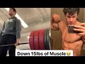 Heavy Pull Day + Physique Update