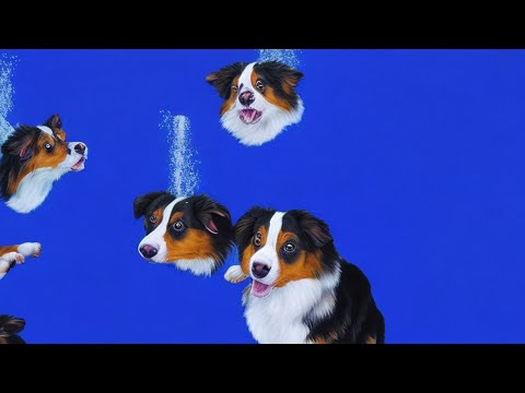 The Screenshots - Nimm das Geld und Renn (Offizielles Musikvideo)