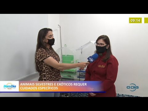 Animais silvestres e exóticos requerem cuidados específicos 20 01 2021