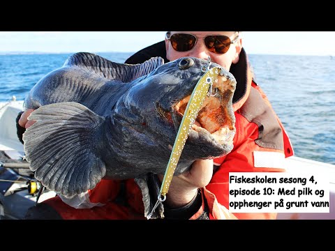 Fiskeskolen sesong 4 , episode 10: Med pilk og opphenger på grunt vann