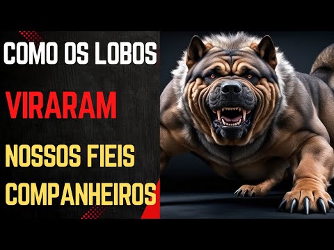 De Lobos a Melhores Amigos -  A Incrível Evolução dos Cães!