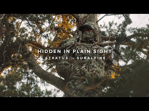 Introducing Stratus in Subalpine
