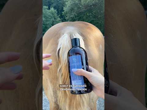 CXEVALO Kühlshampoo