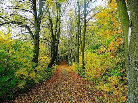 Grupul Iosua (Adi & Anna Chifan) - In trecerea grabita