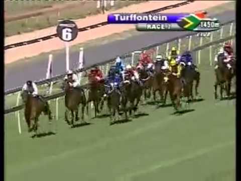 Chinese Gold - 3rd win - Racing Association