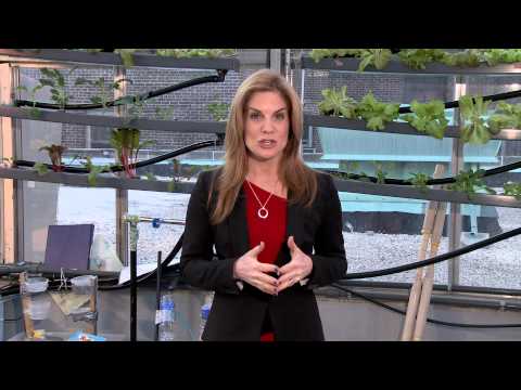 CUNY TV Special: Food Revolution