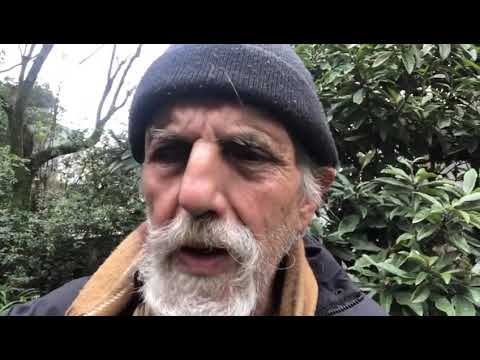 Grandes cidades; onde a concentração não mede o caos