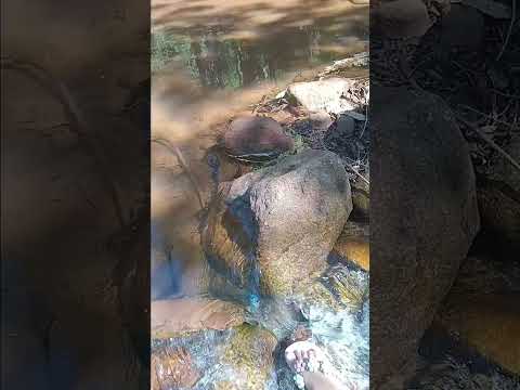 cachoeira xonafongo  Santa Leopoldina-ES