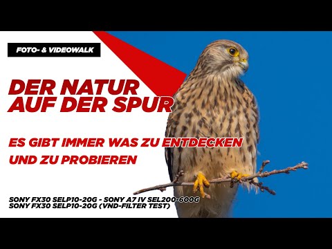 Der Natur auf der Spur - Wildlife - Vogelfotografie und Ultraweitwinkel - Das war so nicht geplant