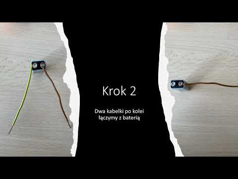 Filip, Stanisław, Szymon, Michał, 8d