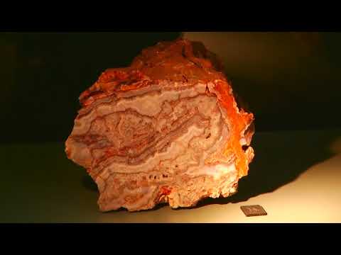 Znaci moga mesta ep.220 18.08.2017.