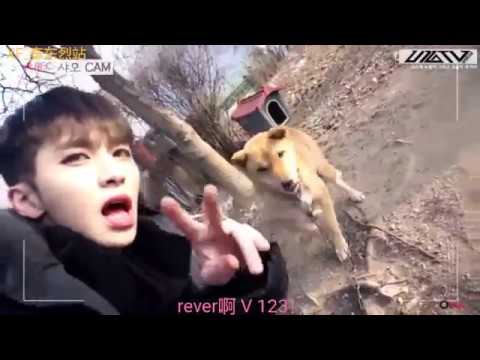 【XF 中字】U10TV ep 181 曉悟和狗狗們的幕後