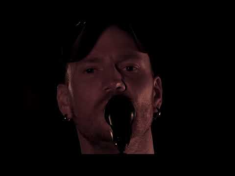 Wild Whens - Crazy to the Bone (Music Video)