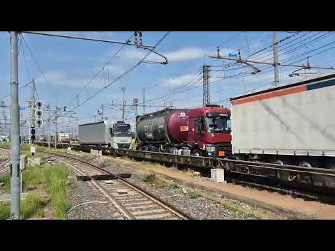 E193-462-CON RALPIN- CON CAMIN. - NOVARA  BOSCHETTO-