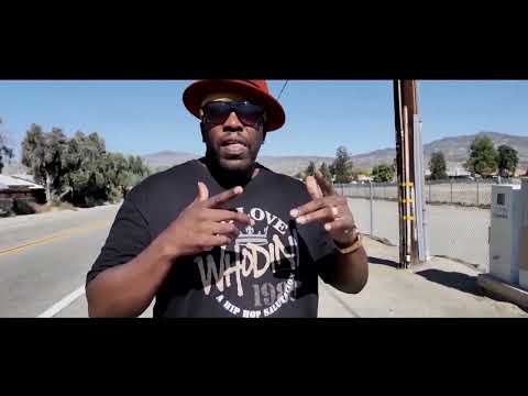 Bossolo - Palm Trees & 40's 